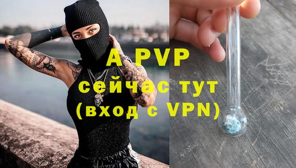 стаф Арсеньев
