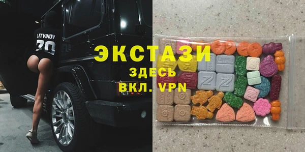стаф Арсеньев