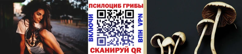 Псилоцибиновые грибы ЛСД Куса